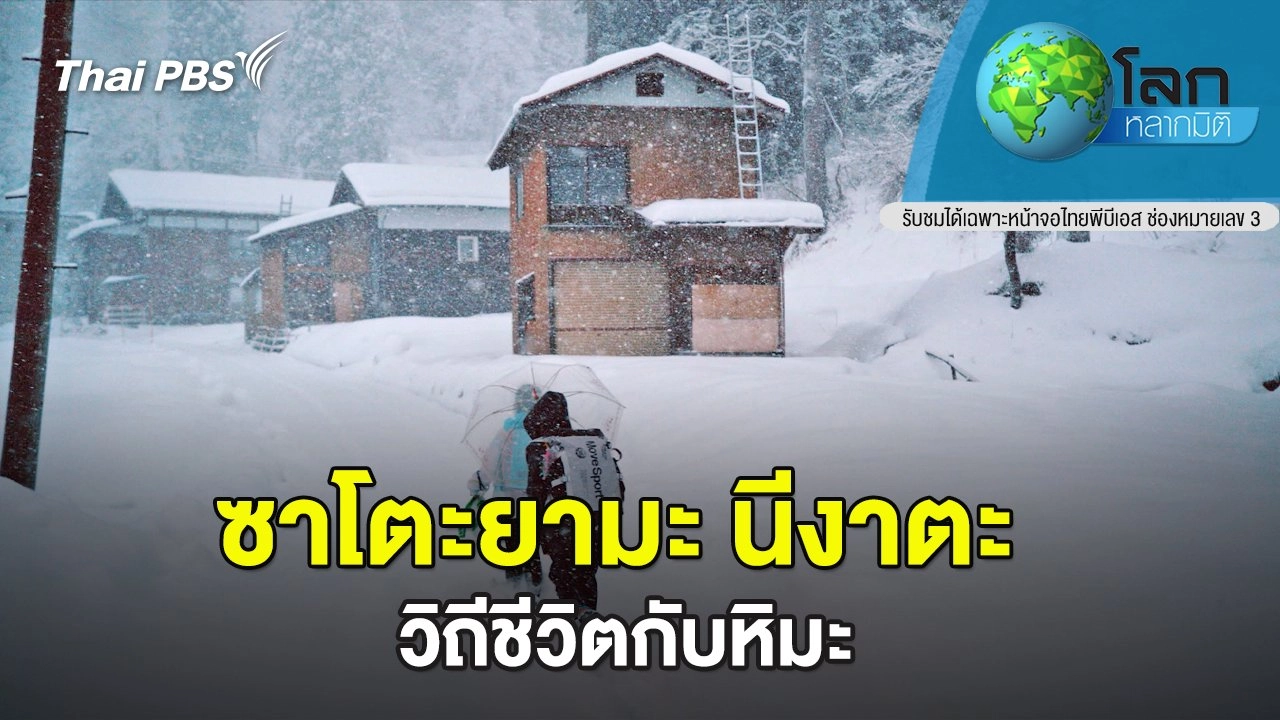 ซาโตะยามะ นีงาตะ ตอน วิถีชีวิตกับหิมะ