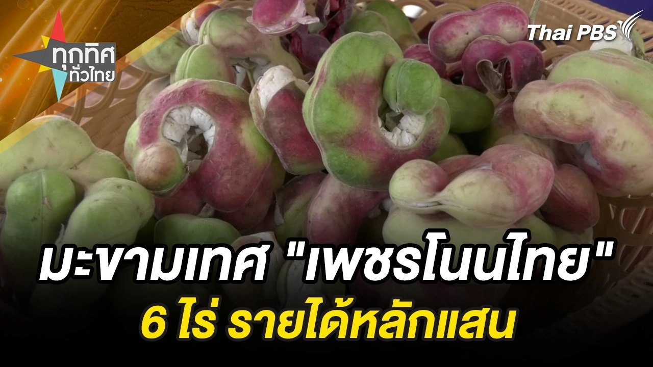 มะขามเทศ "เพชรโนนไทย" 6 ไร่ รายได้หลักแสน