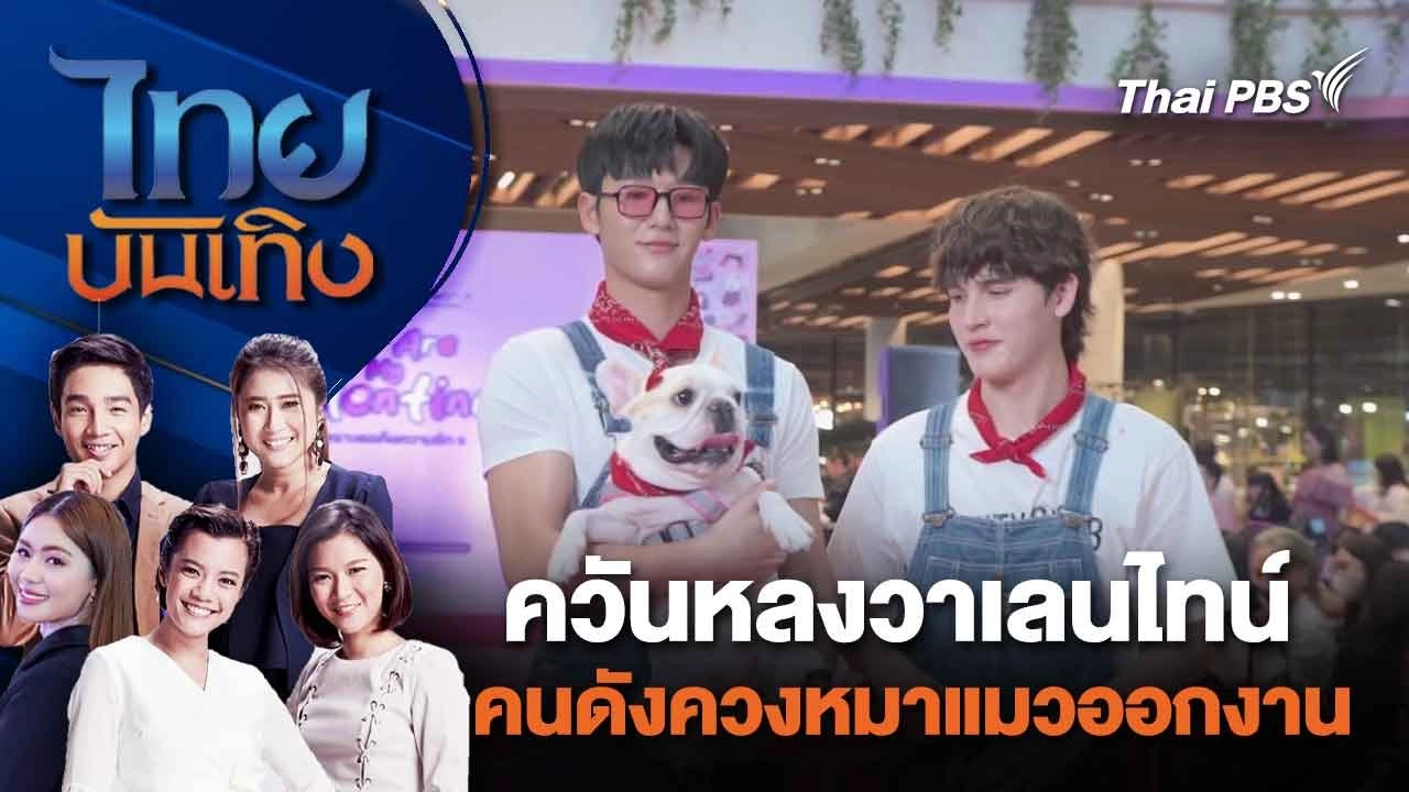 ควันหลงวาเลนไทน์ คนดังควงหมาแมวออกงาน | ไทยบันเทิง | 15 ก.พ. 67