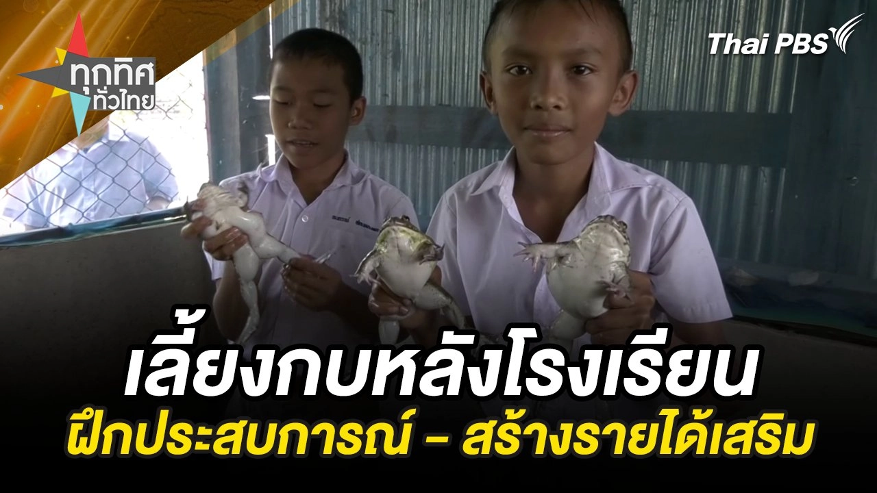 เลี้ยงกบหลังโรงเรียน ฝึกประสบการณ์ - สร้างรายได้เสริม