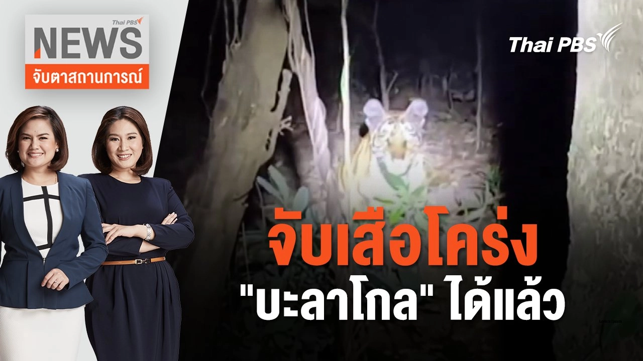จับเสือโคร่ง "บะลาโกล" ได้แล้ว | จับตาสถานการณ์ | 20 ก.พ. 67