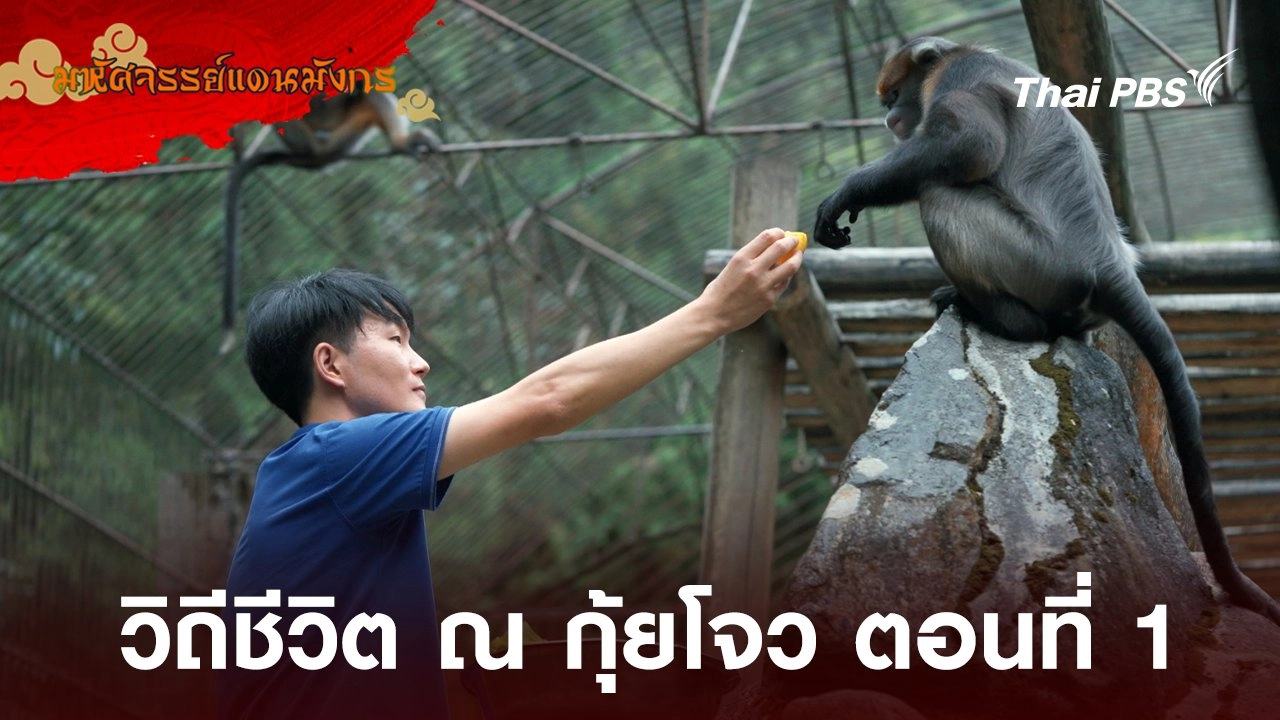 วิถีชีวิต ณ กุ้ยโจว ตอนที่ 1