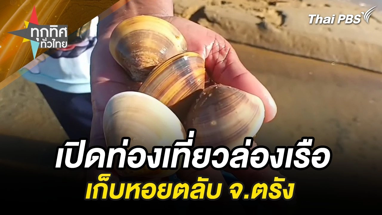 เปิดท่องเที่ยวล่องเรือเก็บหอยตลับ จ.ตรัง