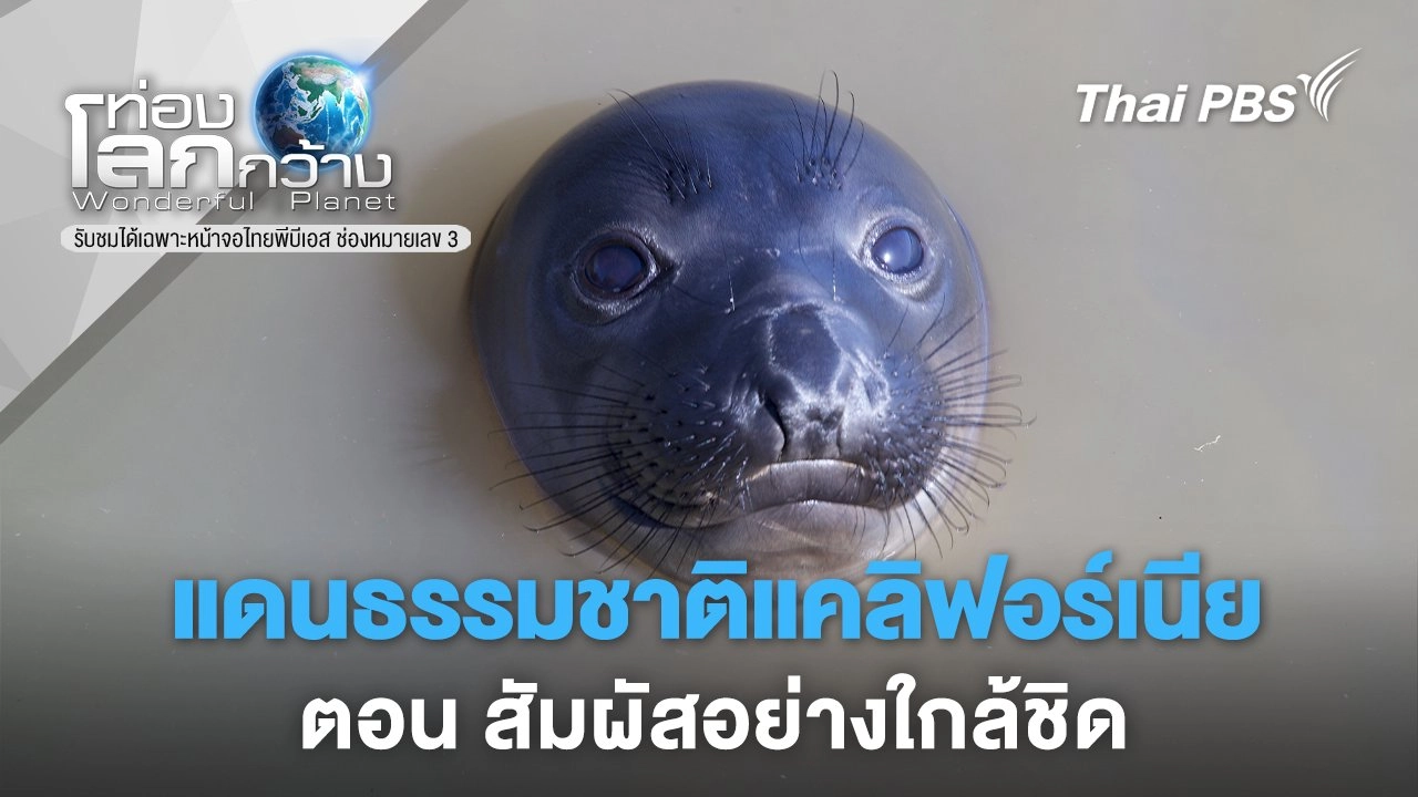 แดนธรรมชาติแคลิฟอร์เนีย  ตอนที่ 2 สัมผัสอย่างใกล้ชิด