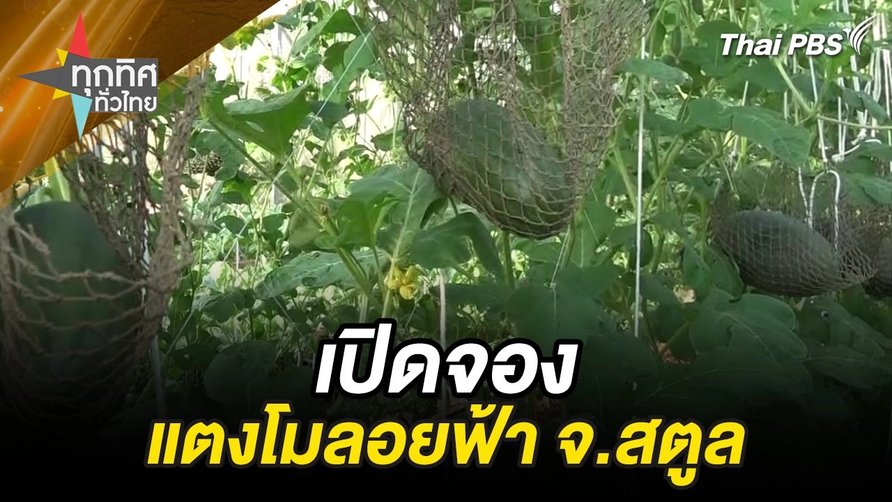 เปิดจองแตงโมลอยฟ้า จ.สตูล