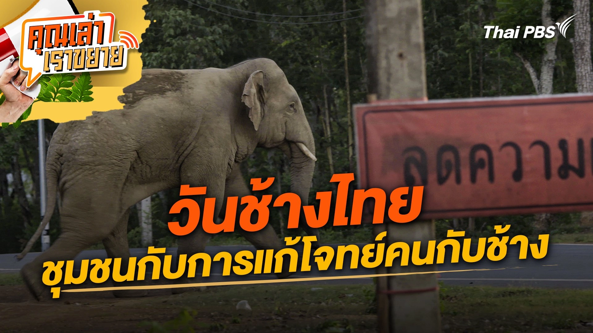 วันช้างไทย - ชุมชนกับการแก้โจทย์คนกับช้าง