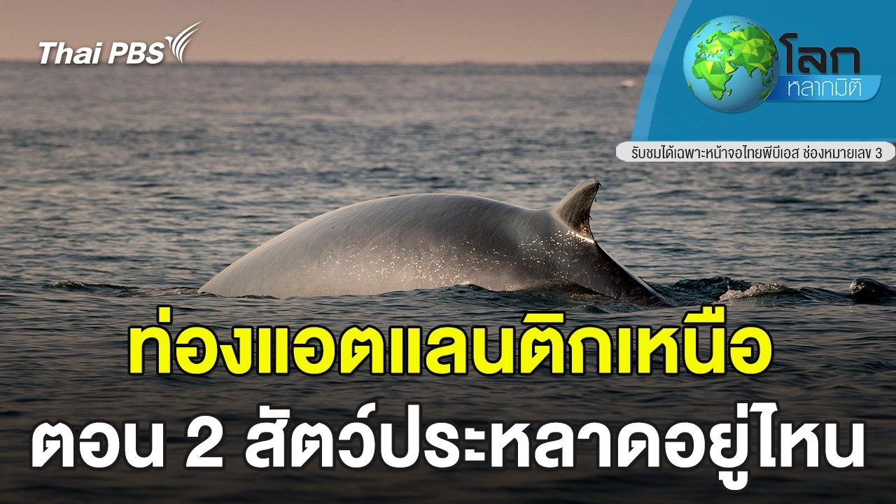 ท่องแอตแลนติกเหนือ ตอน 2 สัตว์ประหลาดอยู่ไหน