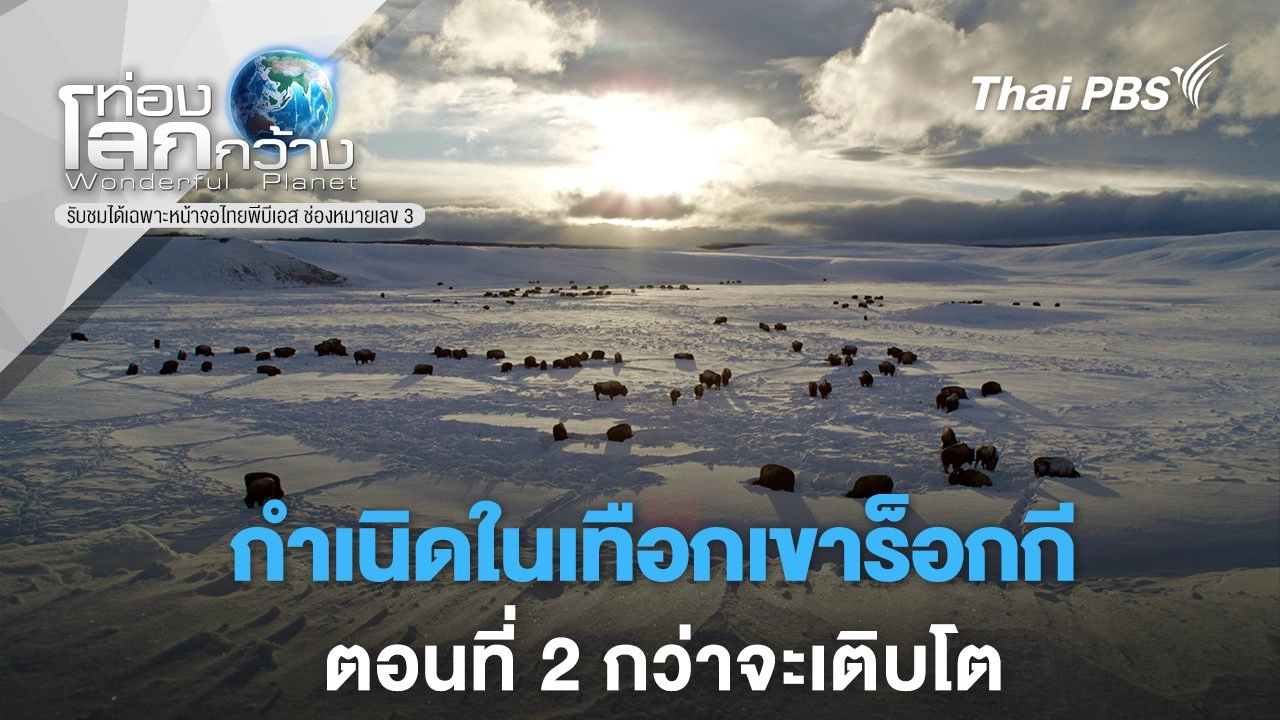 กำเนิดในเทือกเขาร็อกกี  ตอนที่ 2 กว่าจะเติบโต