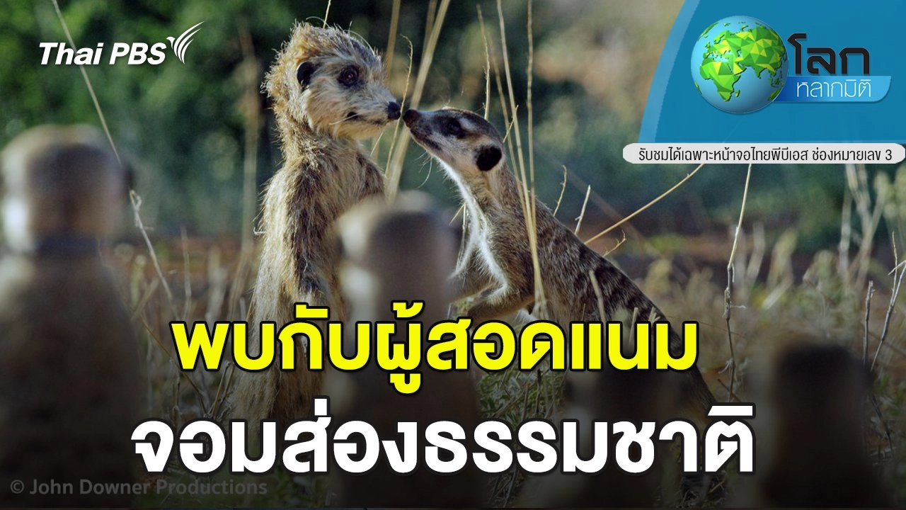 พบกับผู้สอดแนม...จอมส่องธรรมชาติ