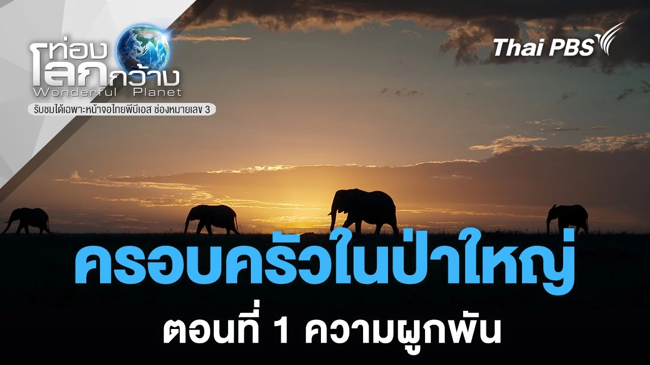 ครอบครัวในป่าใหญ่ ตอนที่ 1 ความผูกพัน