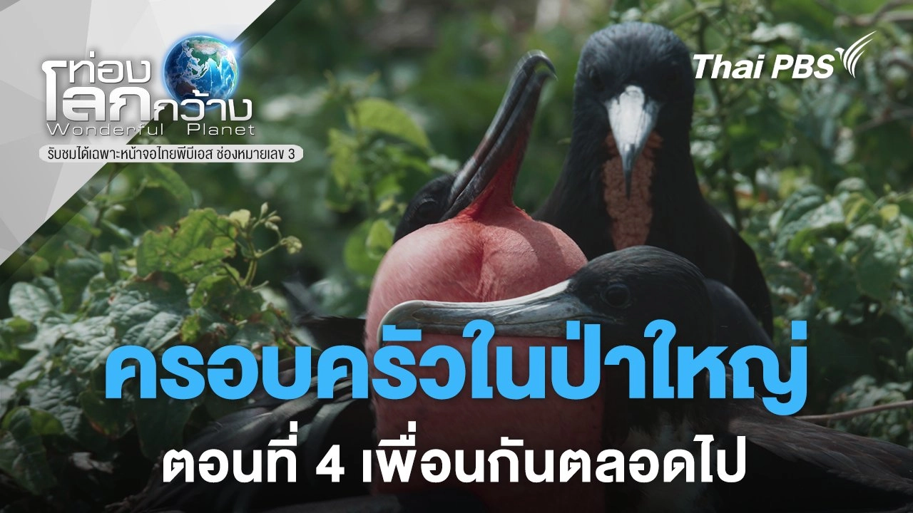 ครอบครัวในป่าใหญ่ ตอนที่ 4 เพื่อนกันตลอดไป