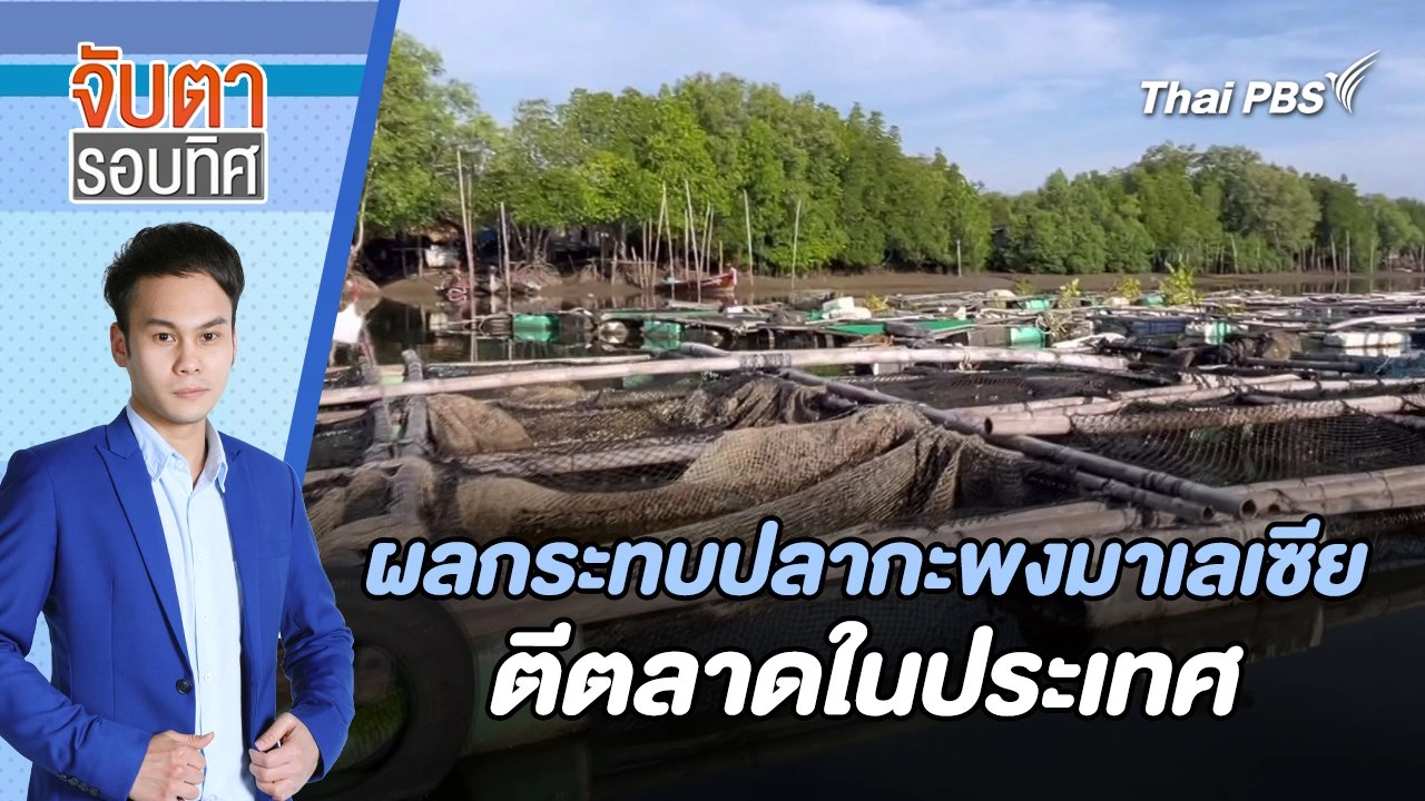 ผลกระทบปลากะพงมาเลเซียตีตลาดในประเทศ | จับตารอบทิศ | 26 มี.ค. 67