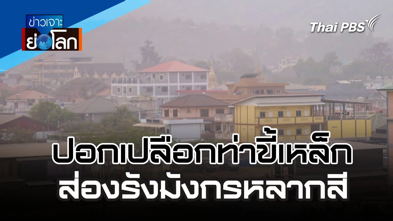 ปอกเปลือกท่าขี้เหล็ก ส่องรังมังกรหลากสี | 30 มี.ค. 67