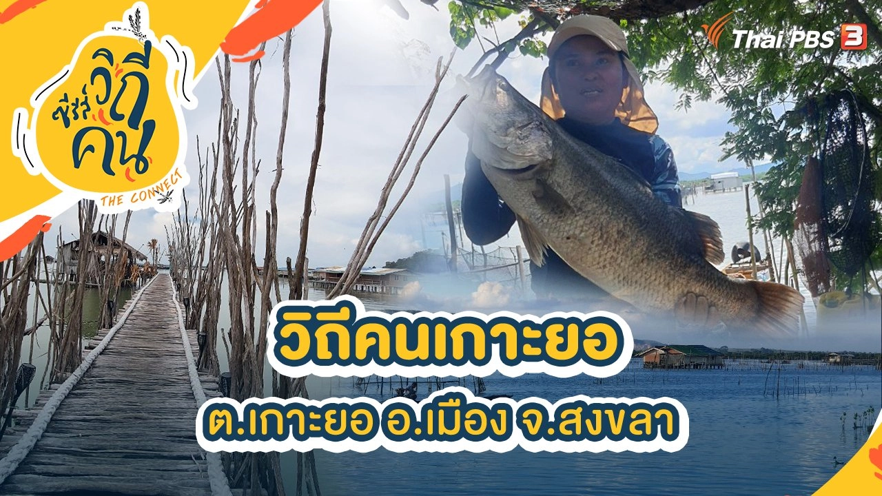 วิถีคนเกาะยอ ต.เกาะยอ อ.เมือง จ.สงขลา