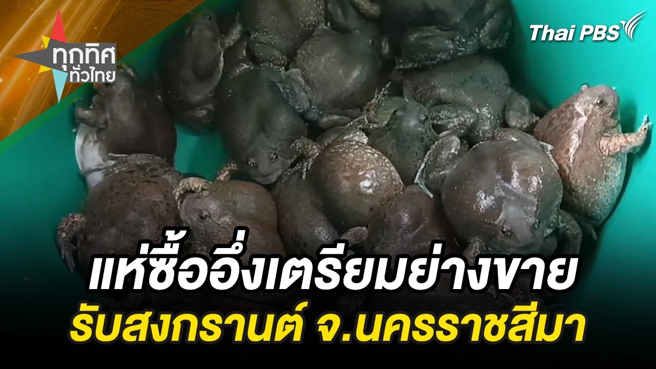 แห่ซื้ออึ่งเตรียมย่างขายรับสงกรานต์ จ.นครราชสีมา