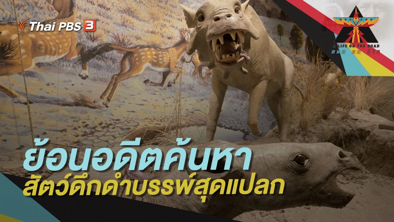 ย้อนอดีตค้นหาสัตว์ดึกดำบรรพ์สุดแปลก