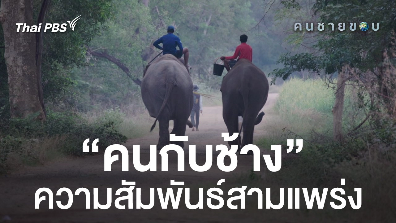 คนกับช้าง...ความสัมพันธ์สามแพร่ง