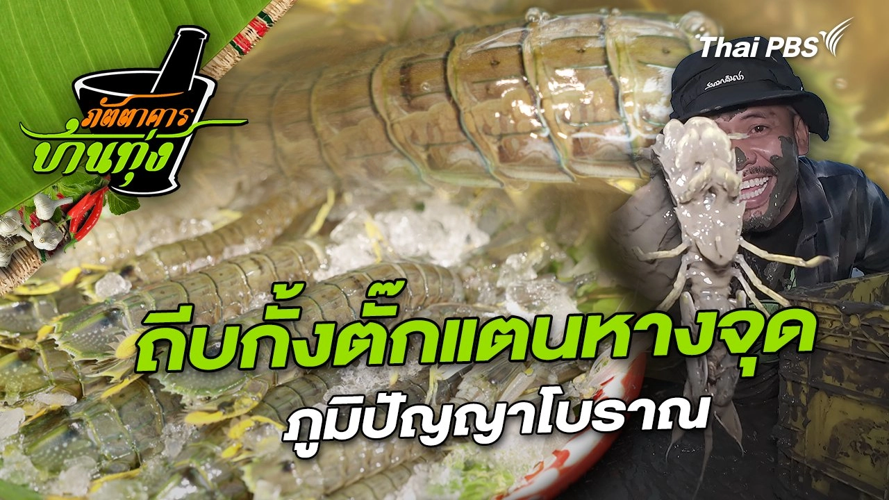 ถีบกั้งตั๊กแตนหางจุด