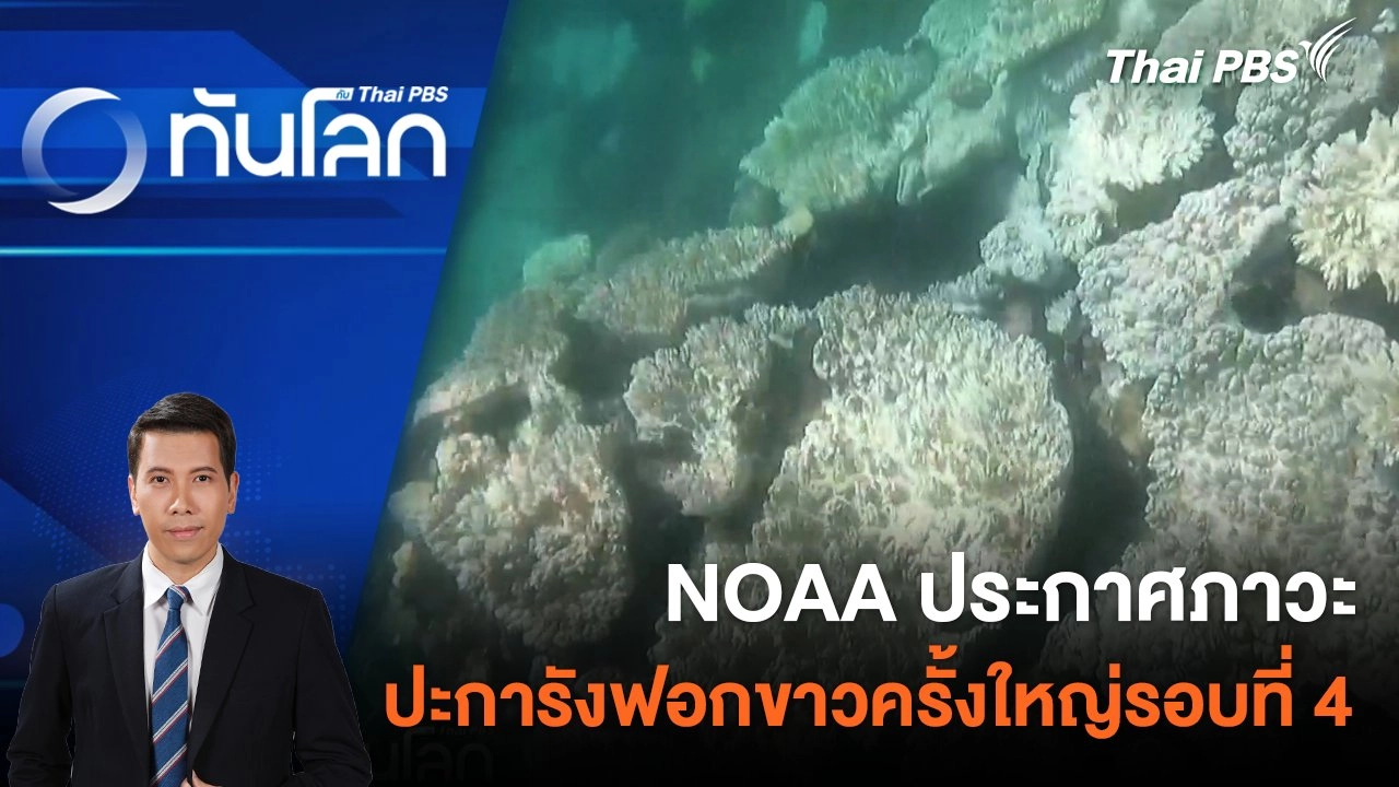 NOAA ประกาศภาวะปะการังฟอกขาวครั้งใหญ่รอบที่ 4 | 17 เม.ย. 67