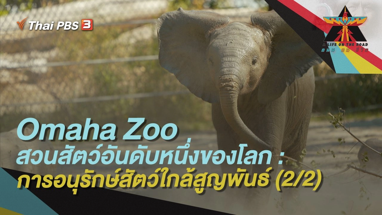Omaha Zoo สวนสัตว์อันดับหนึ่งของโลก : การอนุรักษ์สัตว์ใกล้สูญพันธ์ (2/2)