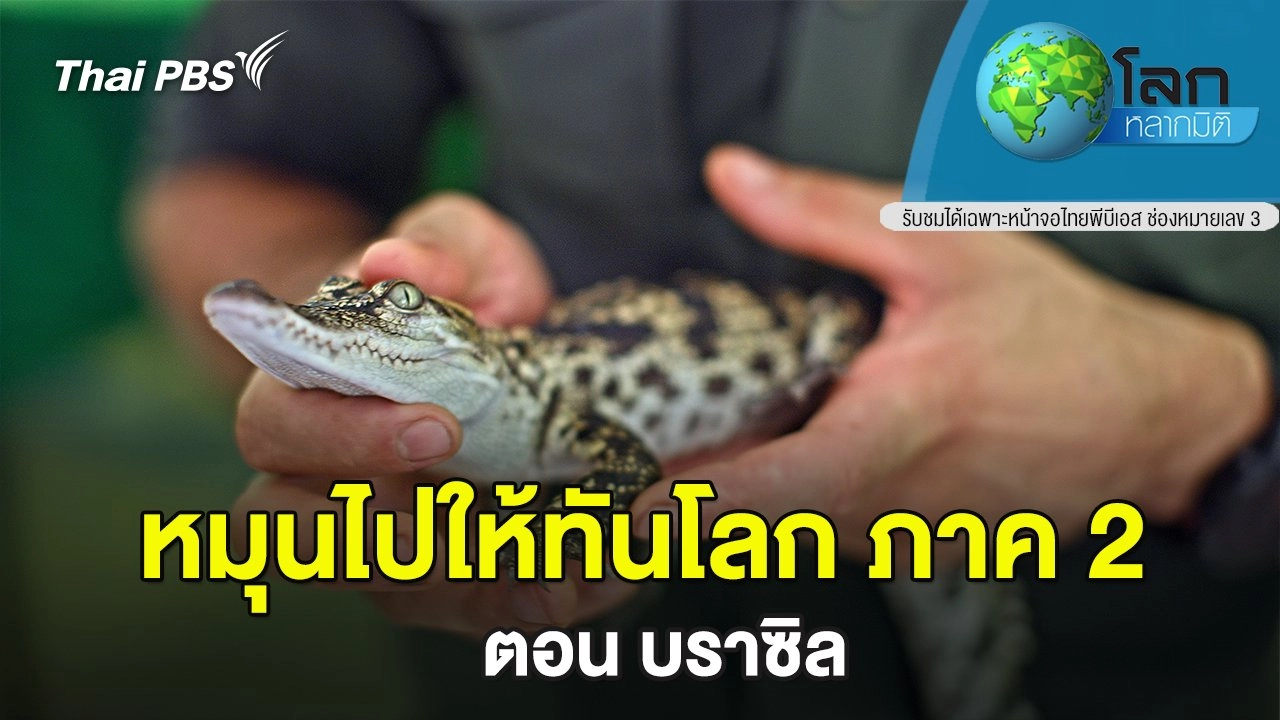 หมุนไปให้ทันโลก ภาค 2 ตอน บราซิล