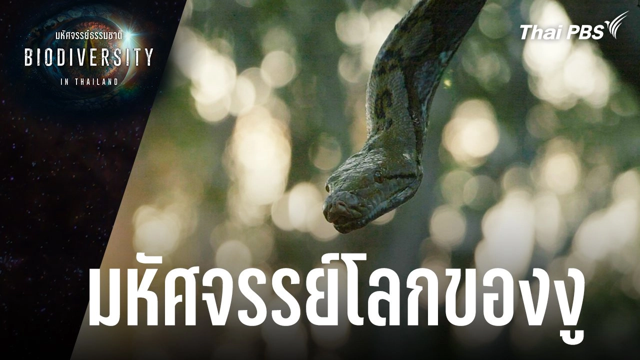 มหัศจรรย์โลกของงู