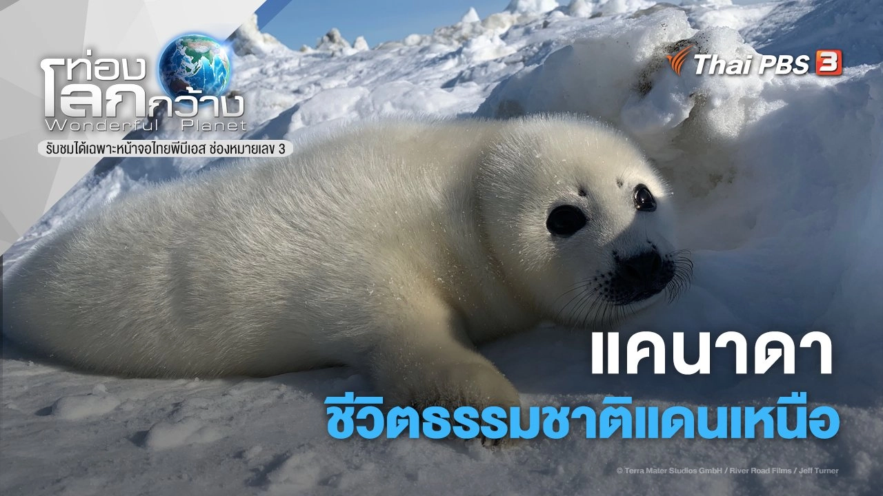 แคนาดา...ชีวิตธรรมชาติแดนเหนือ