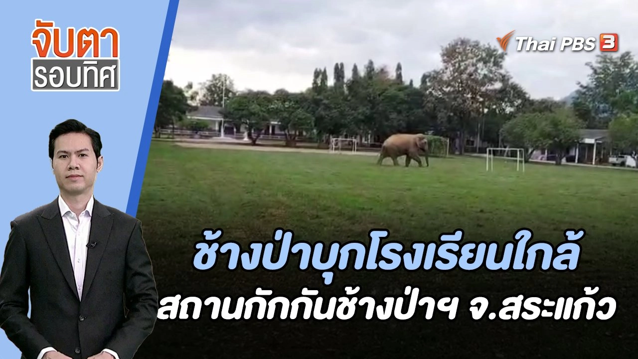 ช้างป่าบุก รร.ใกล้สถานกักกันช้างป่าฯ จ.สระแก้ว | จับตารอบทิศ | 7 ธ.ค. 66