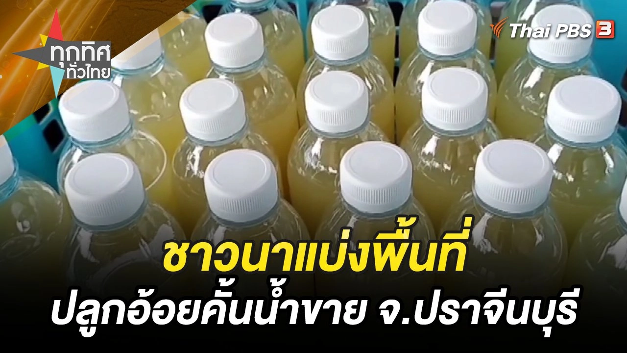 ชาวนาแบ่งพื้นที่ปลูกอ้อยคั้นน้ำขาย จ.ปราจีนบุรี