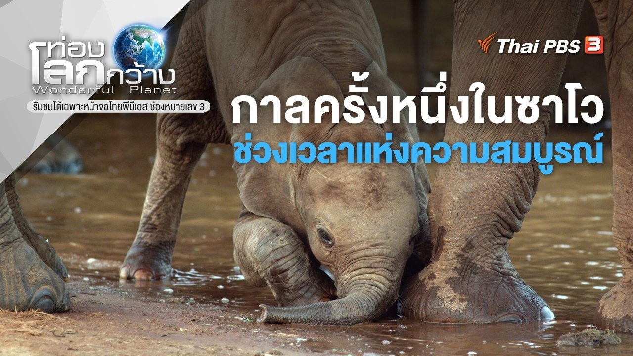 กาลครั้งหนึ่งในซาโว ตอน ช่วงเวลาแห่งความสมบูรณ์