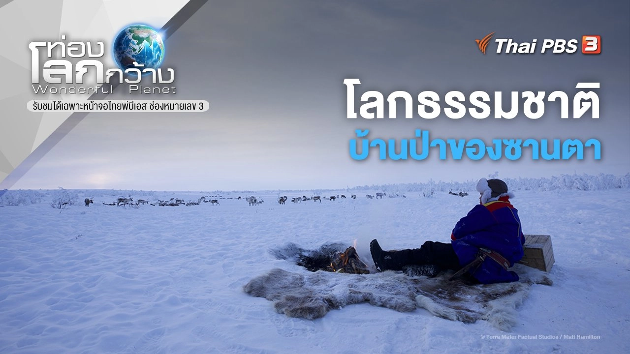 โลกธรรมชาติบ้านป่าของซานตา