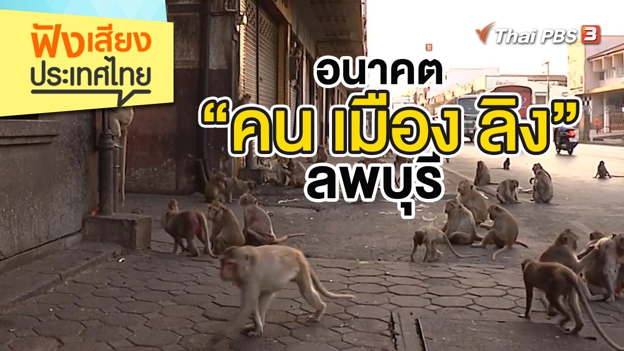 อนาคต “คน เมือง ลิง” ลพบุรี