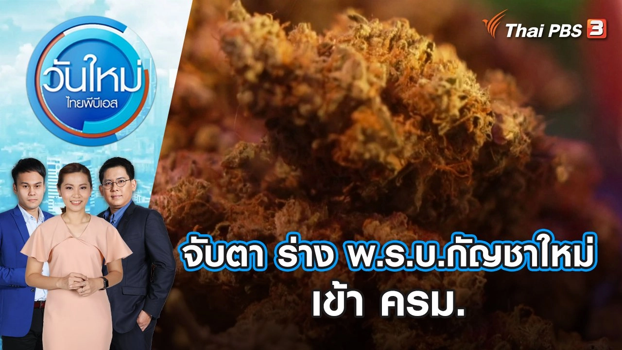 จับตา ร่าง พ.ร.บ.กัญชาใหม่ เข้า ครม. วันใหม่ ไทยพีบีเอส | 8 ม.ค. 67