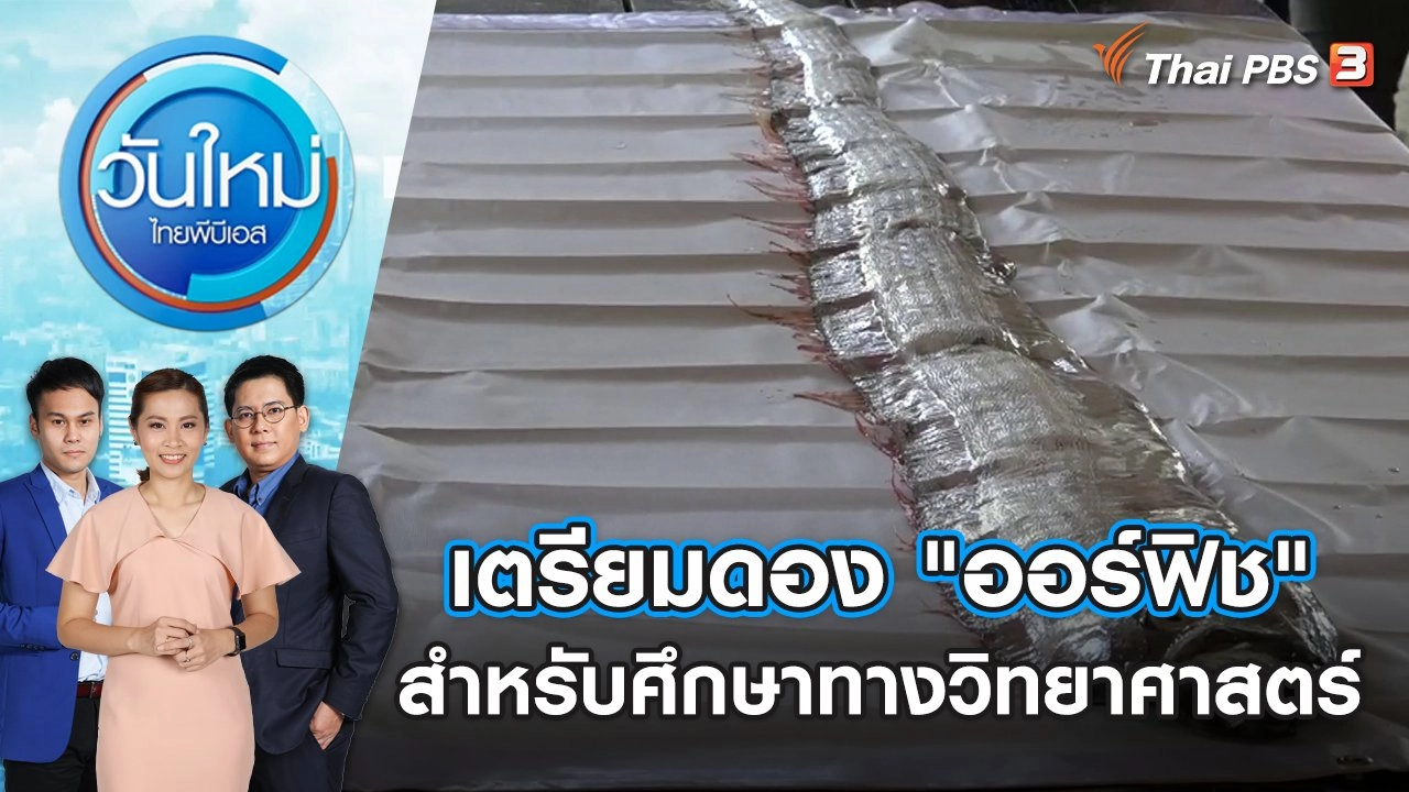เตรียมดอง "ออร์ฟิช" สำหรับศึกษาทางวิทยาศาสตร์ | วันใหม่ ไทยพีบีเอส | 9 ม.ค. 67
