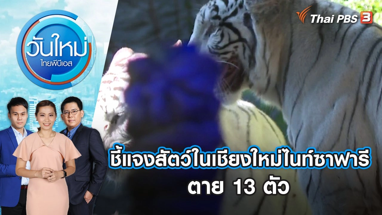 ชี้แจงสัตว์ในเชียงใหม่ไนท์ซาฟารีตาย 13 ตัว | วันใหม่ ไทยพีบีเอส | 12 ม.ค. 67