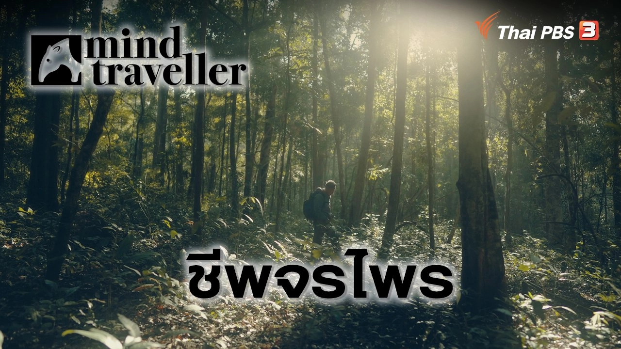 Mind Traveller ชีพจรไพร