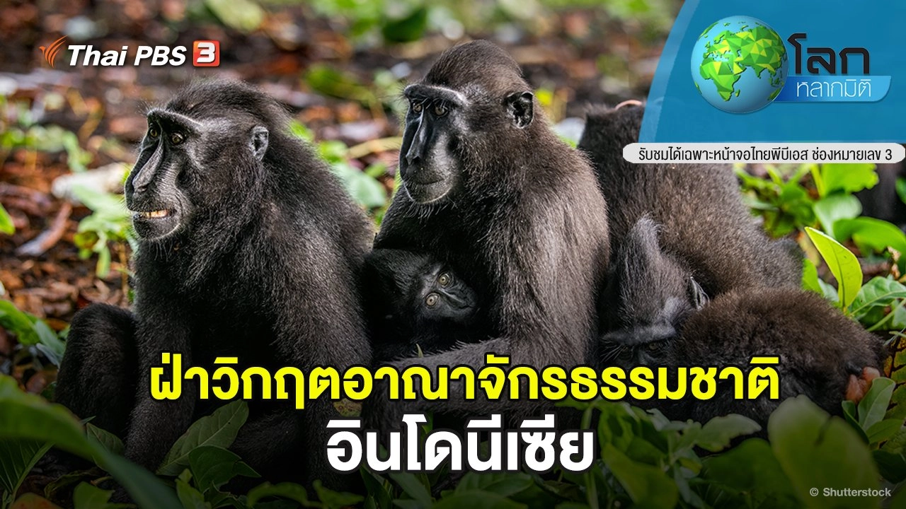 ฝ่าวิกฤตอาณาจักรธรรมชาติ ตอน อินโดนีเซีย