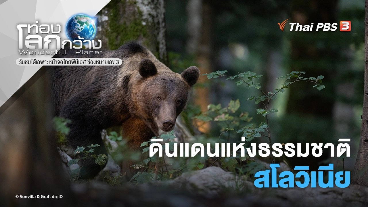 ดินแดนแห่งธรรมชาติสโลวิเนีย