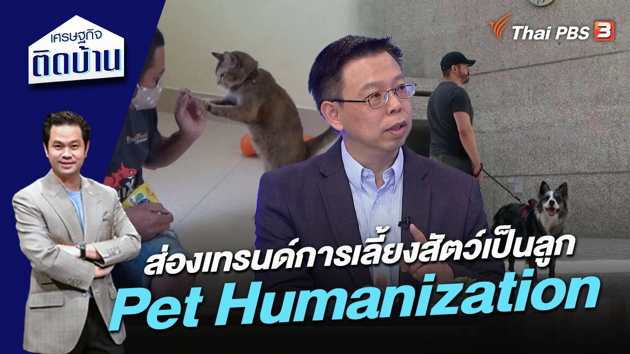 ส่องเทรนด์การเลี้ยงสัตว์เป็นลูก “Pet Humanization”
