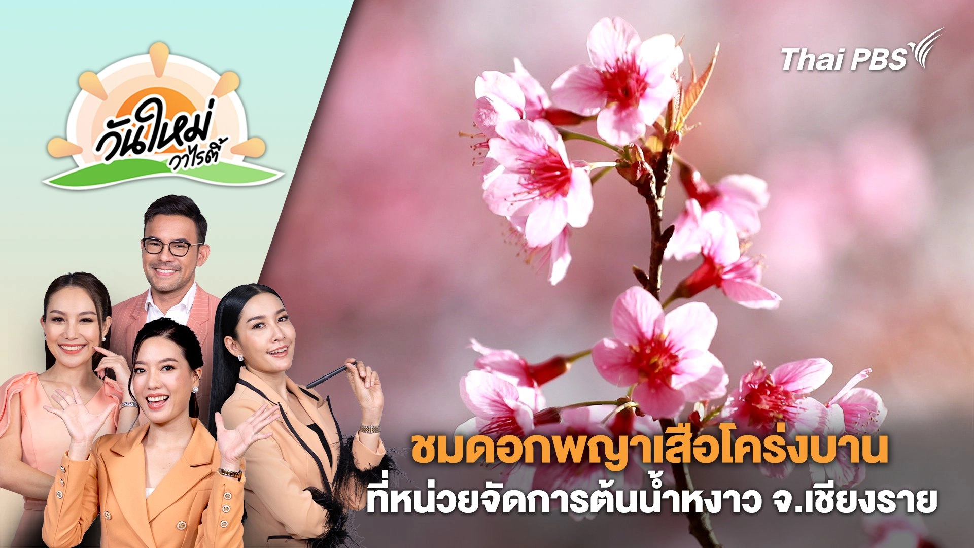 ชมดอกพญาเสือโคร่งบานที่หน่วยจัดการต้นน้ำหงาว​ จ.เชียงราย | วันใหม่วาไรตี้ | 25 ม.ค. 67