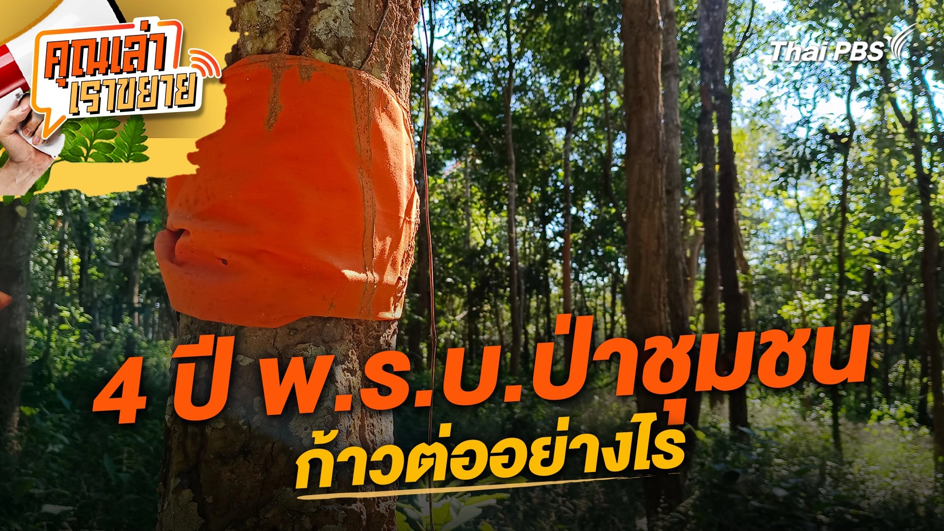 4 ปี พ.ร.บ.ป่าชุมชน ก้าวต่ออย่างไร