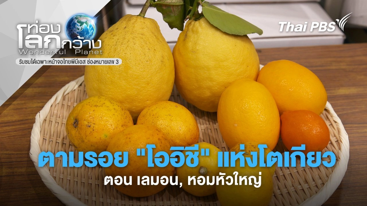 ตามรอย "โออิชี" แห่งโตเกียว ตอน เลมอน, หอมหัวใหญ่