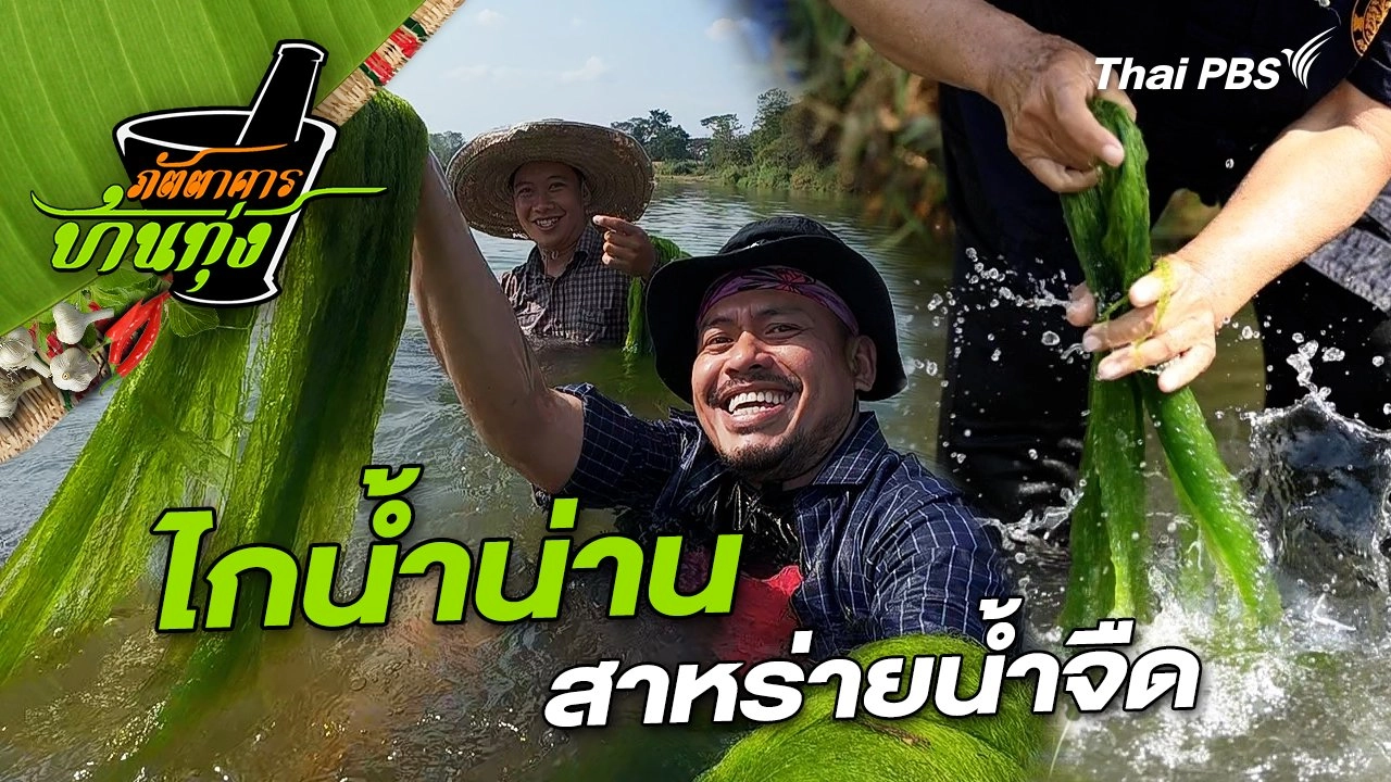 ไกน้ำน่าน