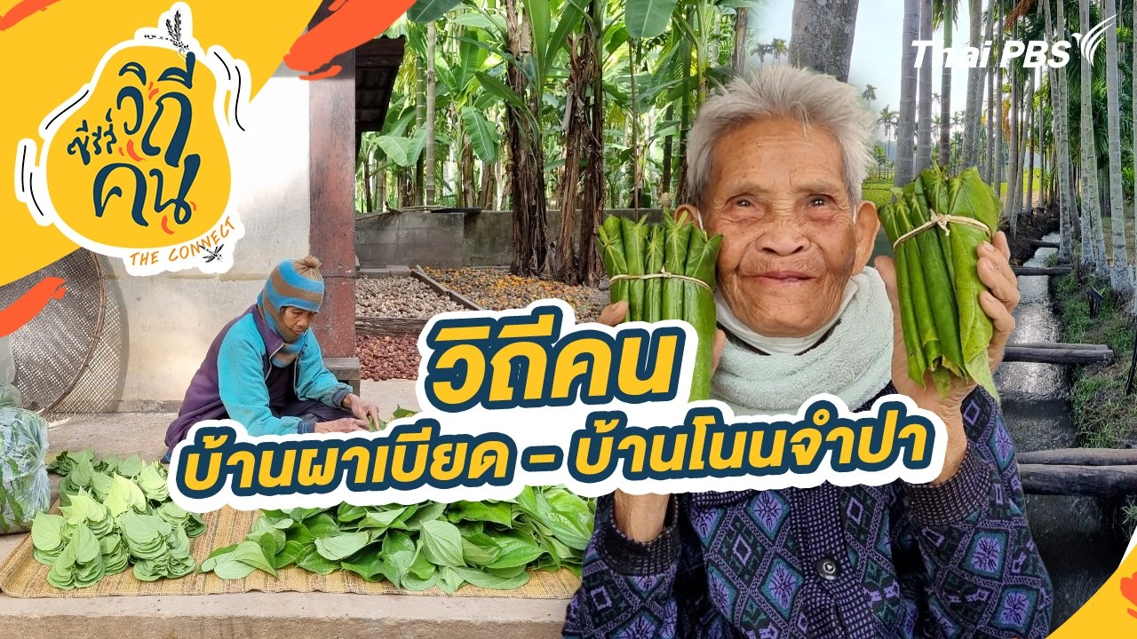 วิถีคนบ้านผาเบียด - บ้านโนนจำปา อ.คอนสาร จ.ชัยภูมิ