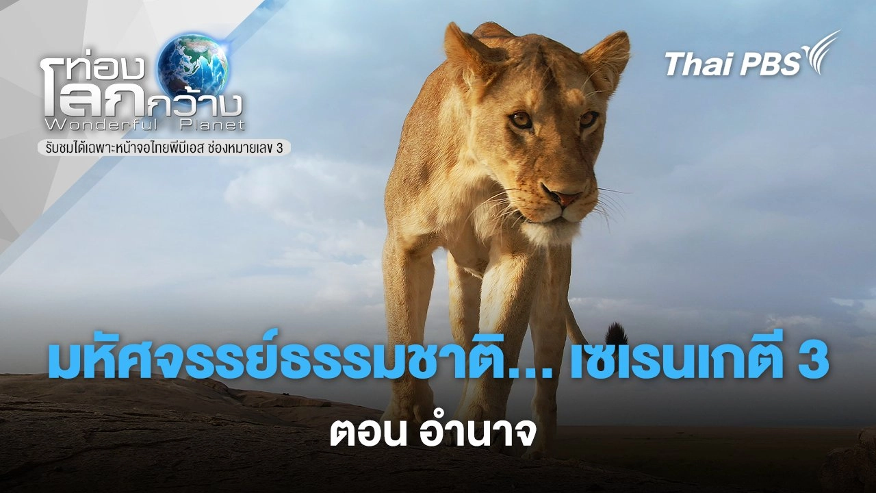 มหัศจรรย์ธรรมชาติ...เซเรนเกตี 3 ตอน อำนาจ
