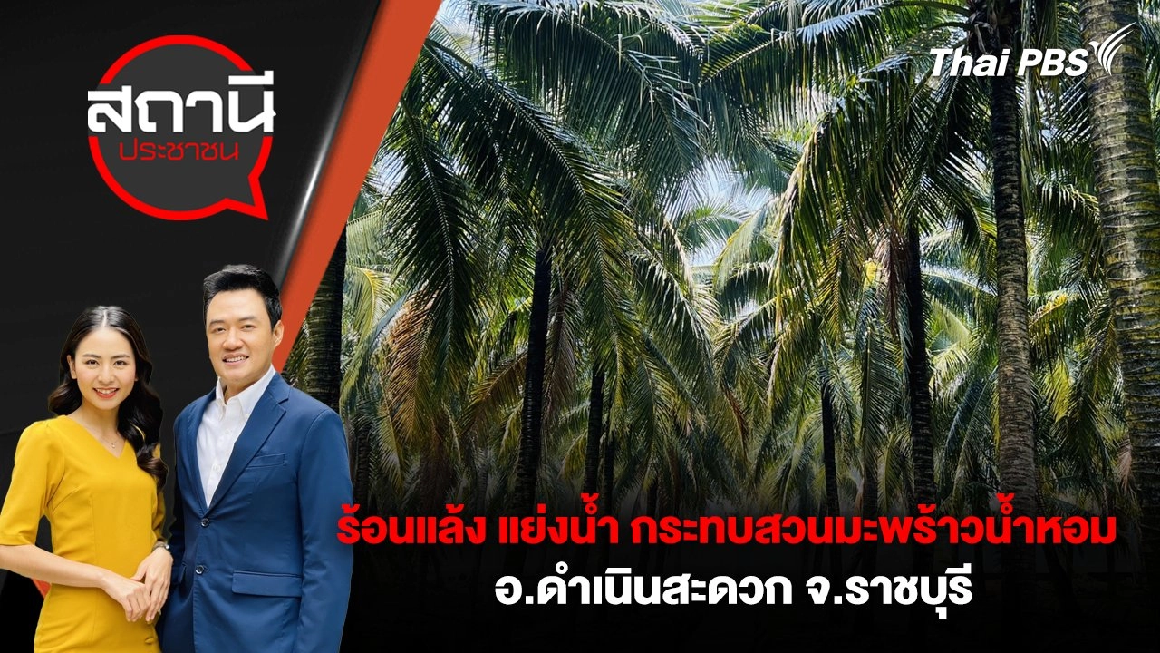 ร้อนแล้ง แย่งน้ำ กระทบสวนมะพร้าวน้ำหอม อ.ดำเนินสะดวก จ.ราชบุรี