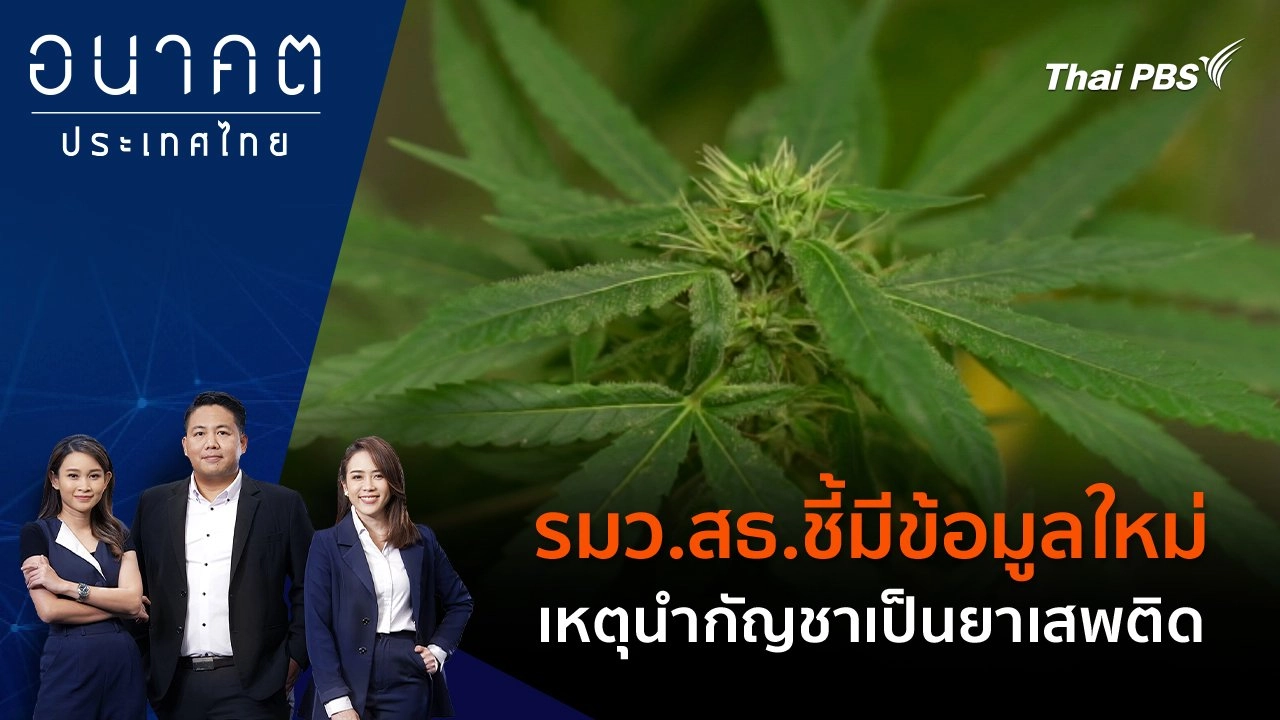 รมว.สธ.ชี้มีข้อมูลใหม่ เหตุนำกัญชาเป็นยาเสพติด