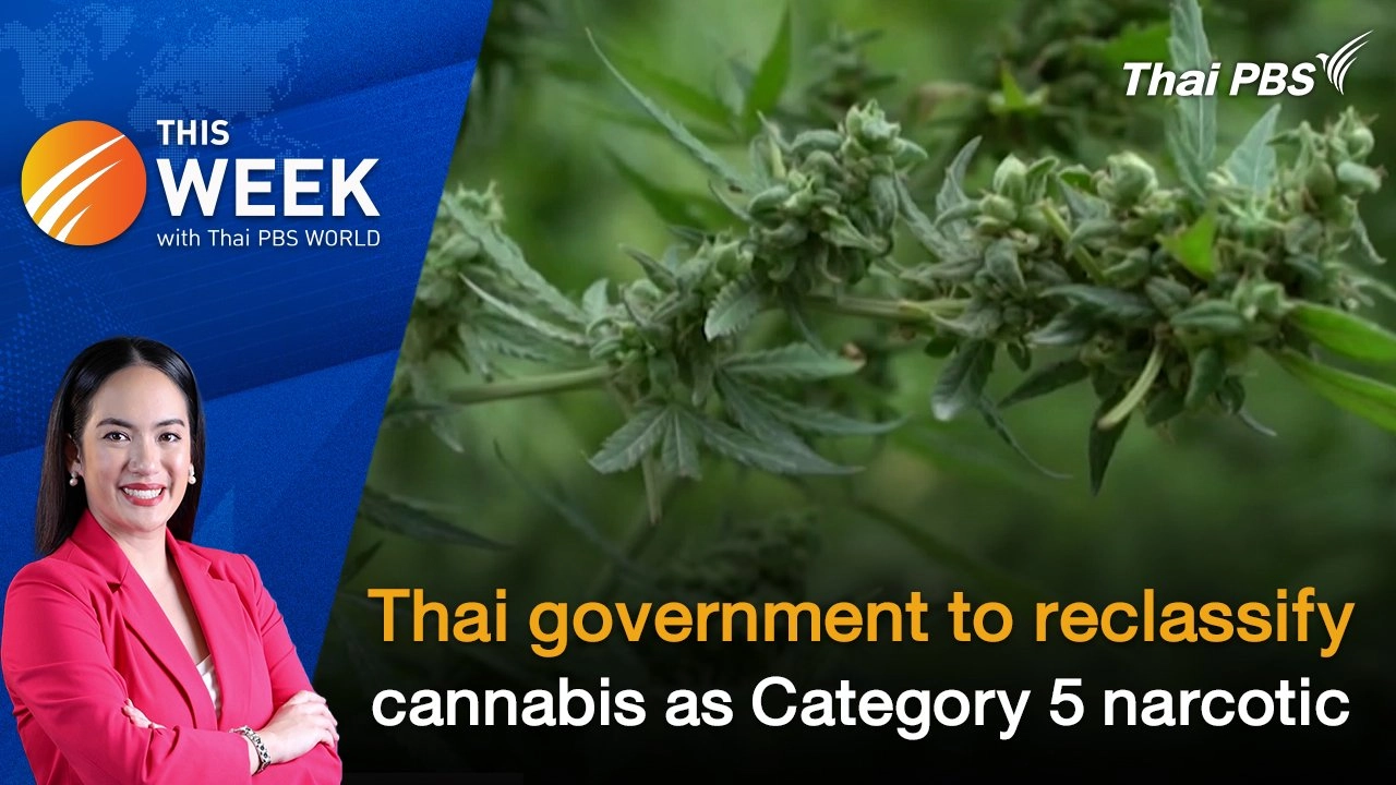 Thai government to reclassify cannabis as Category 5 narcotic | 10 May 2024