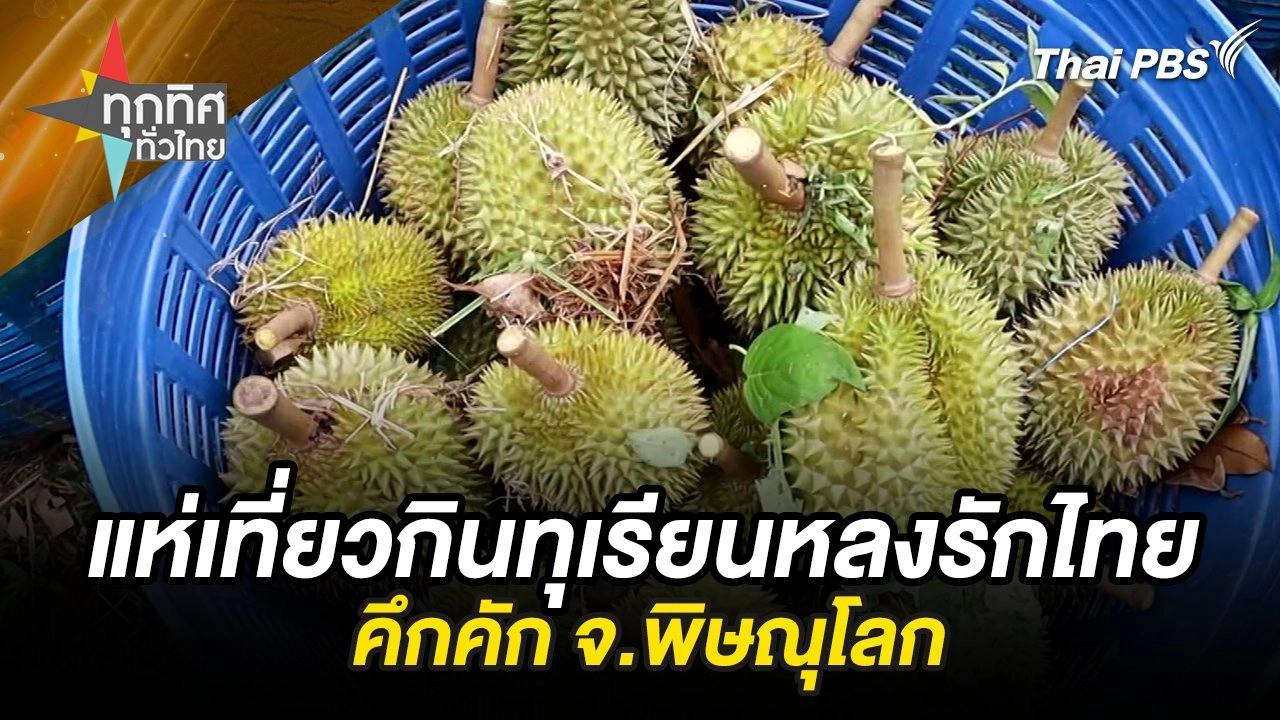 แห่เที่ยวกินทุเรียนหลงรักไทยคึกคัก จ.พิษณุโลก