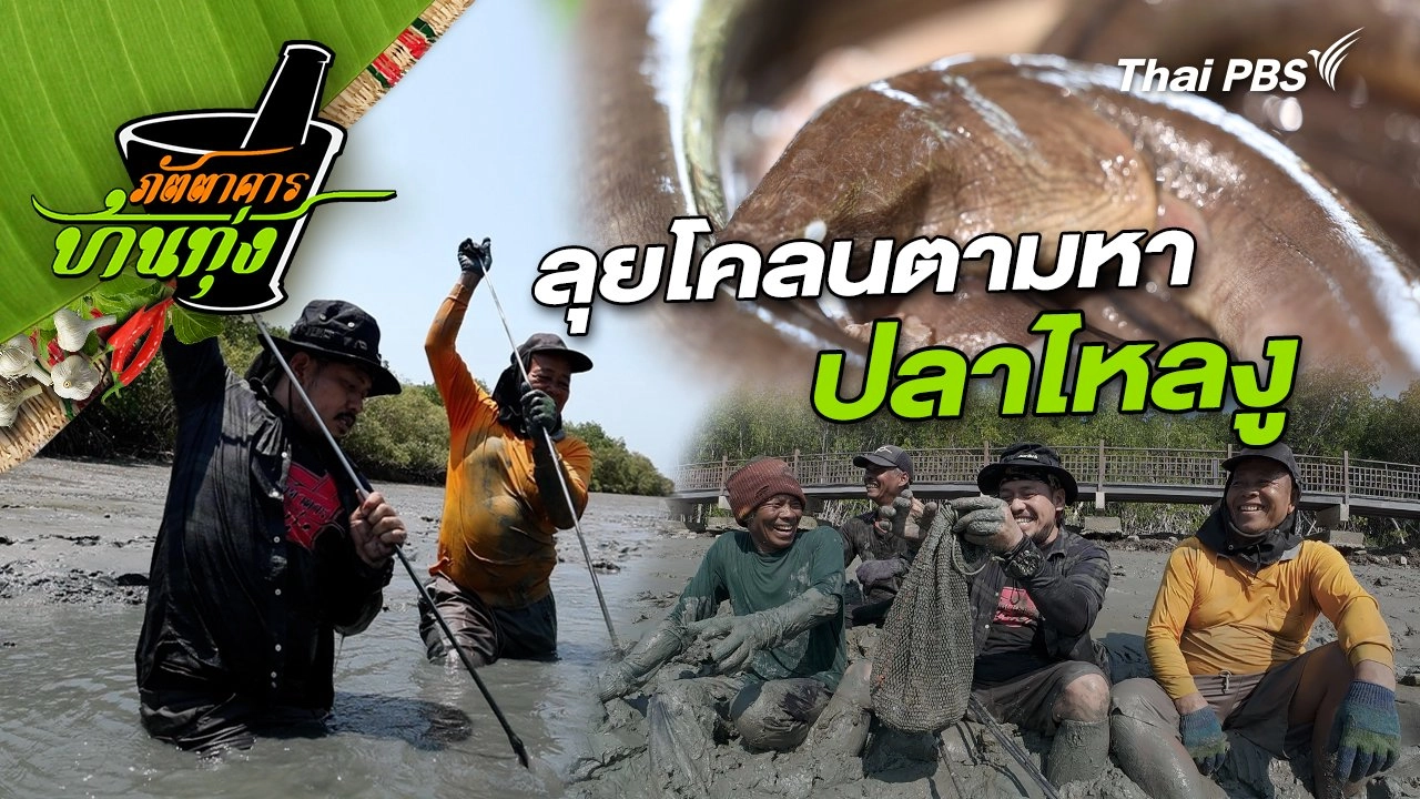 ปลาไหลงู